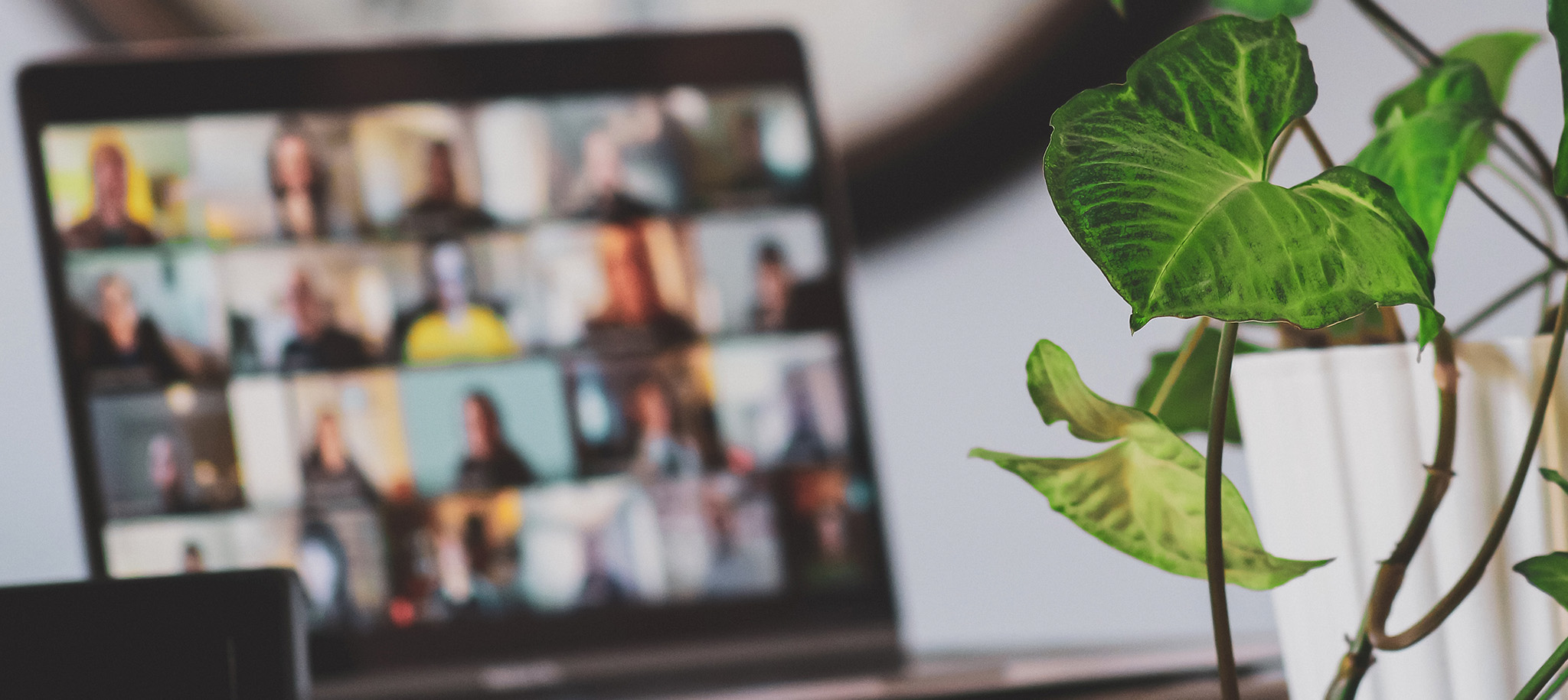online-y-presencial